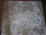 image of grave number 665786